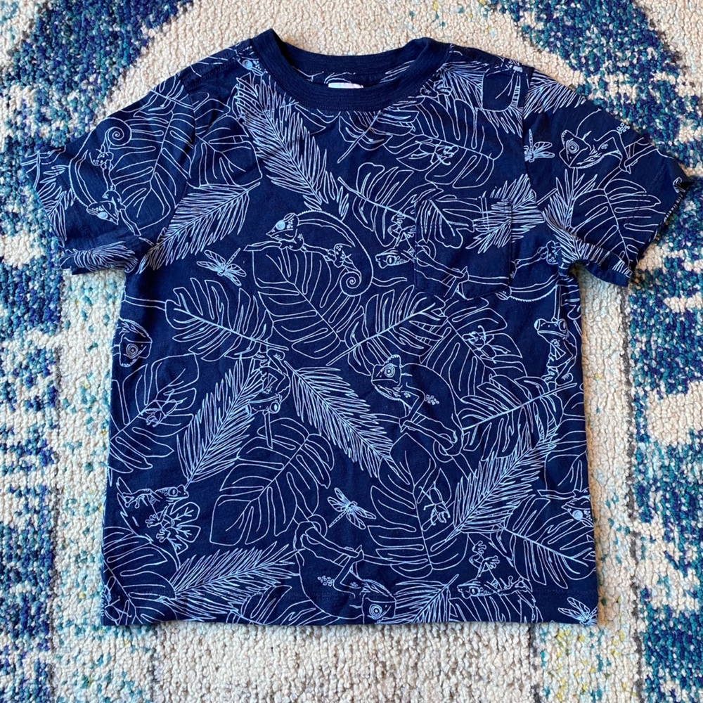 Hanna Andersson Chameleon Print Pocket Tee Shirt 110cm